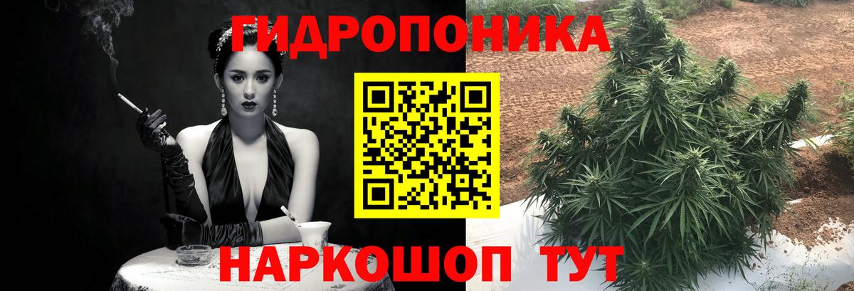 Марихуана Amnesia  Вход с VPN  Бошки марихуана тримм  Каннабис White Widow  Канаш  Бошки марихуана марихуана 
